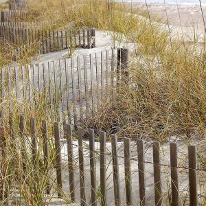 Moliets plage – 15 min Moliets plage – 15 min